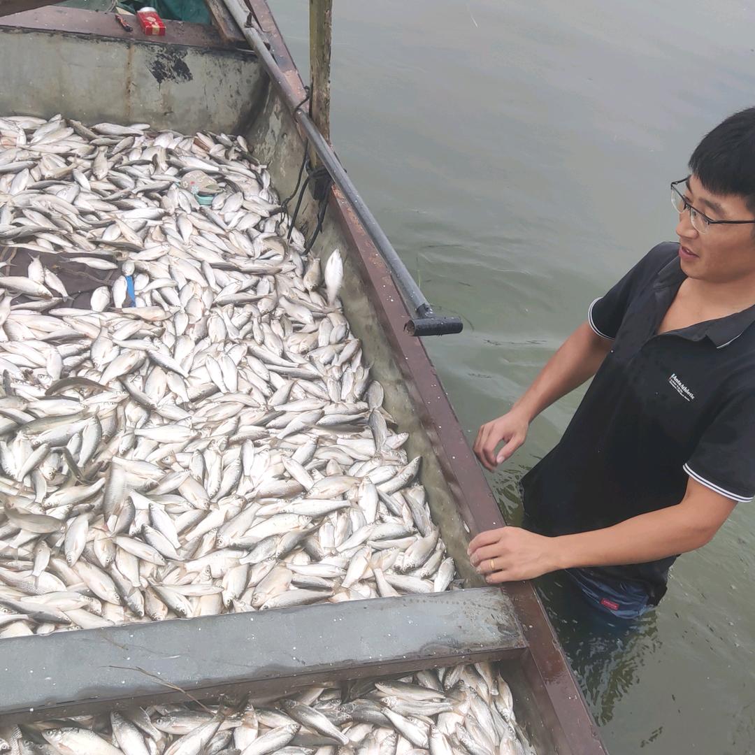逮鱼小位