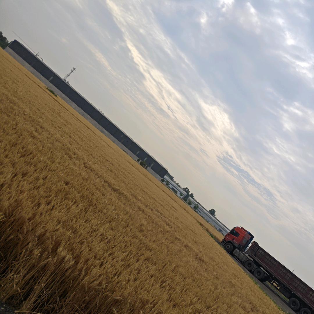 广州市荔湾区南岸路佰思尔装饰材料商行健余筱QLB直播号