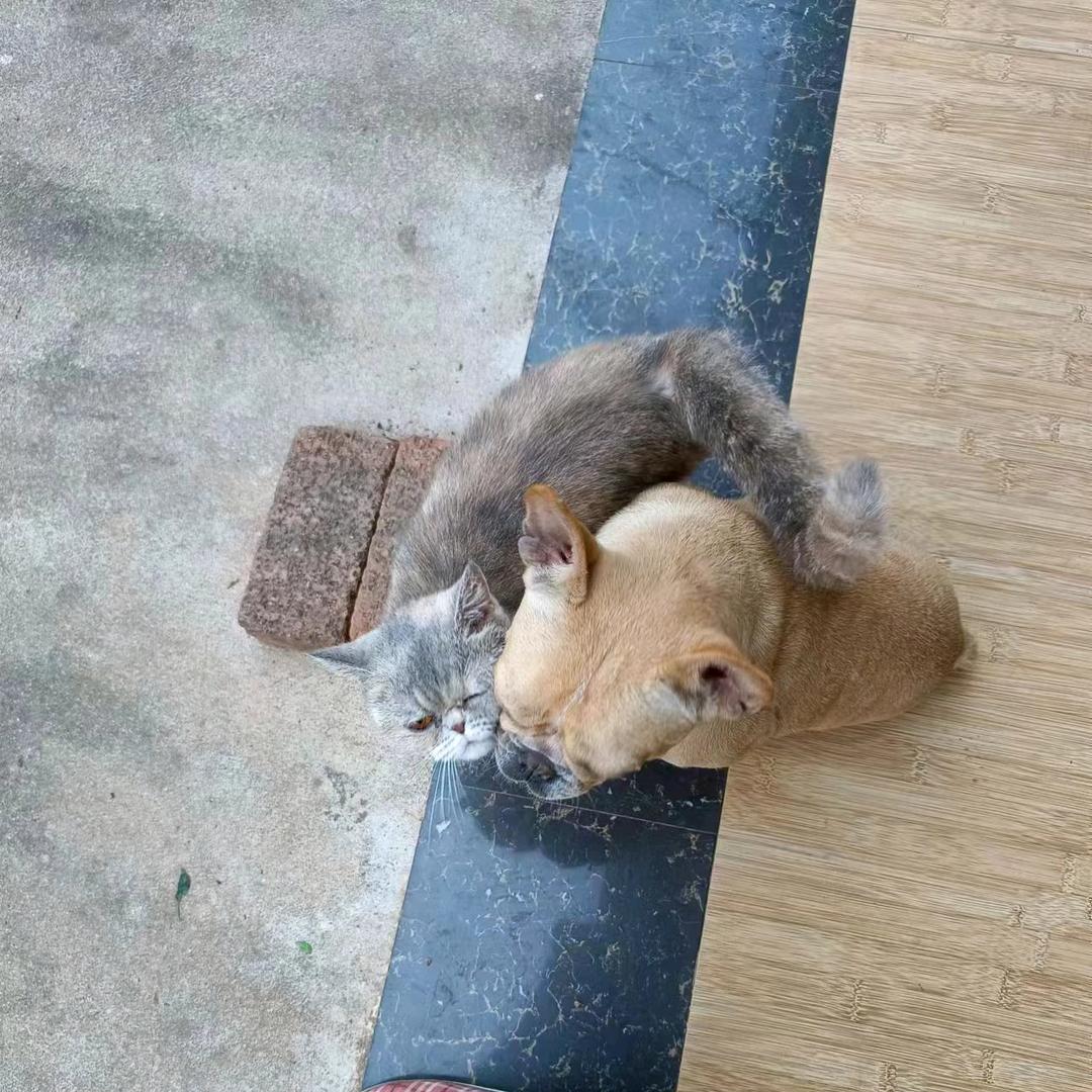 江湖一梦👶🏻