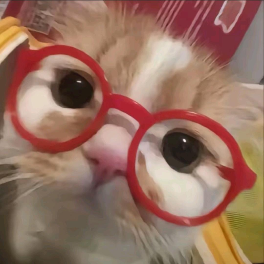 小乔