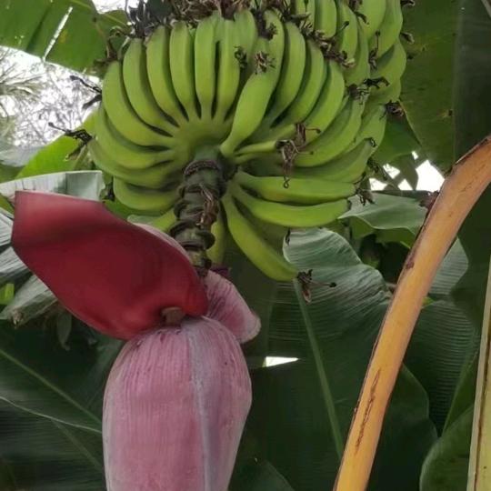 秋天来月