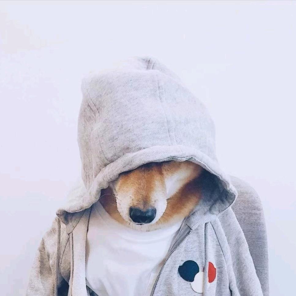 突然飞进的猛男