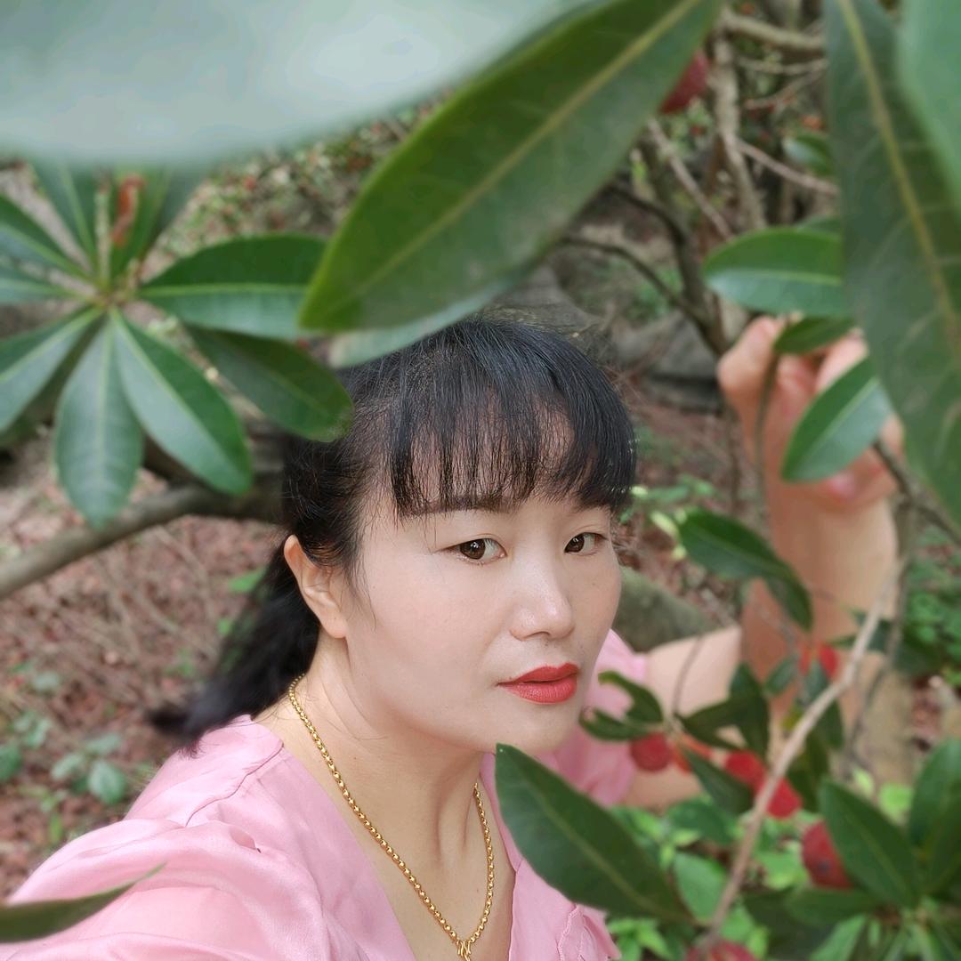 运动（2028）