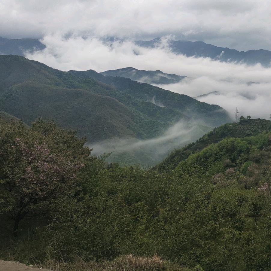 带姣一起笑傲江湖