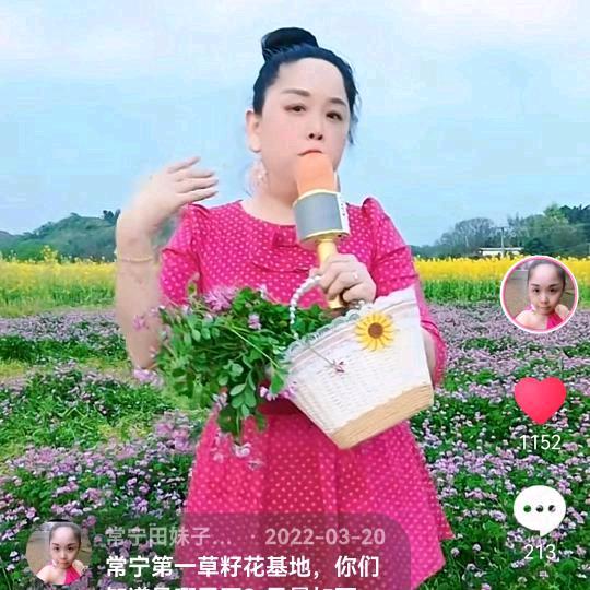 田妹子（湘奇子表妹）
