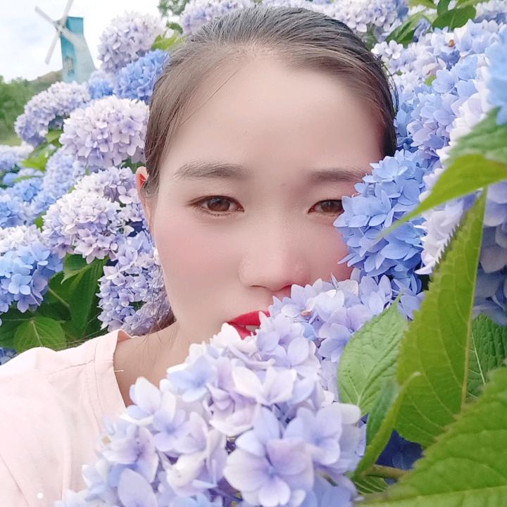 小刘妹