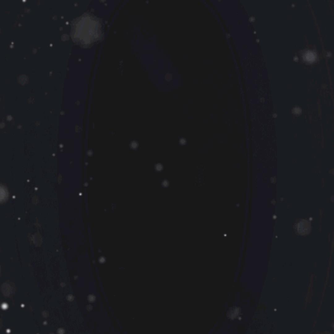 我是无瓜无爱一个人我是飘柔浪荡的一个男人
