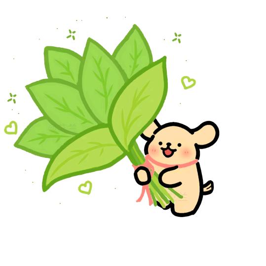 幸福的小琦🎀（禁止连赞）