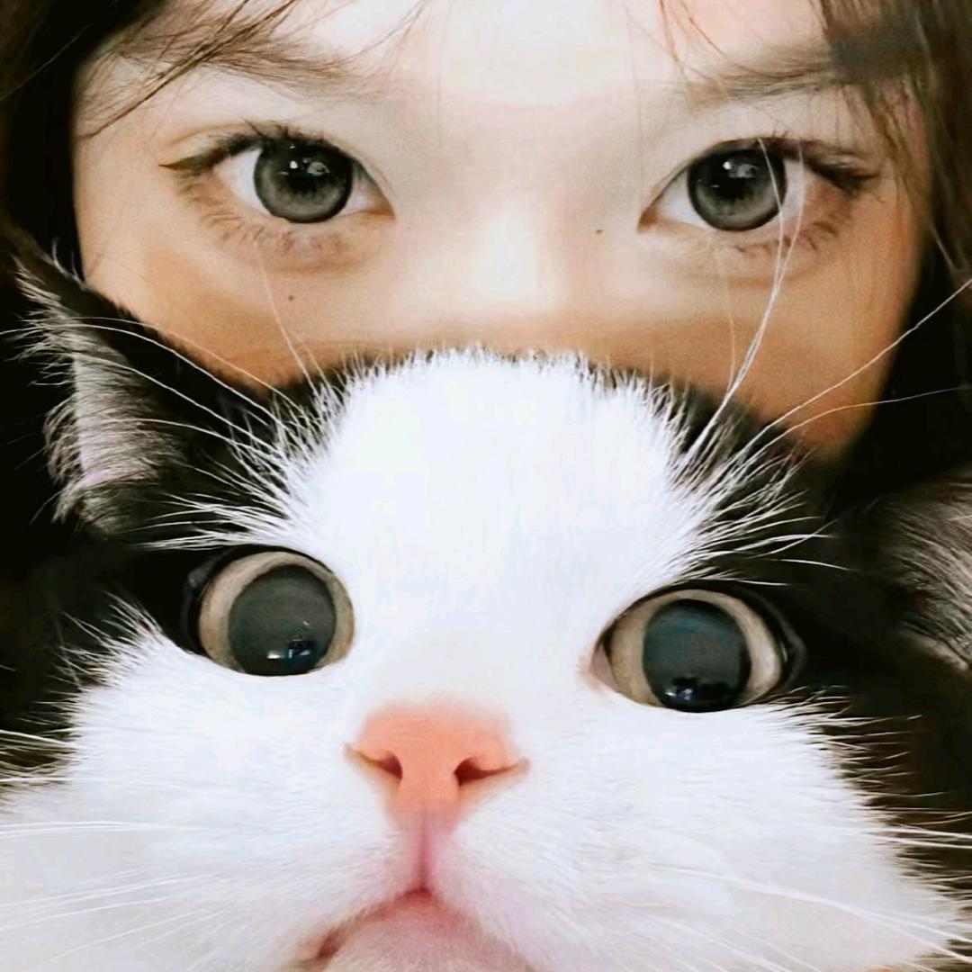 茶凉眼睛