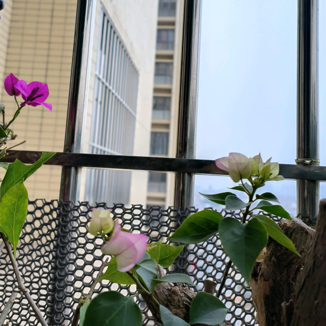@~幸运   💕