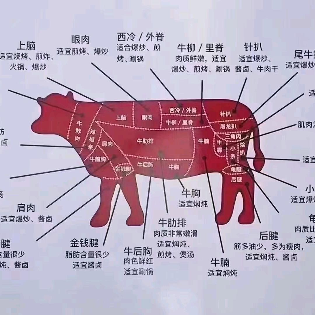 牛羊屠宰厂