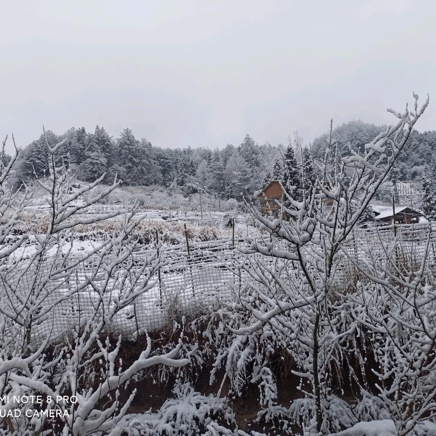 姜糖顺风车科技嘎嘎猛