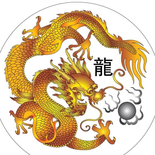 飞龙