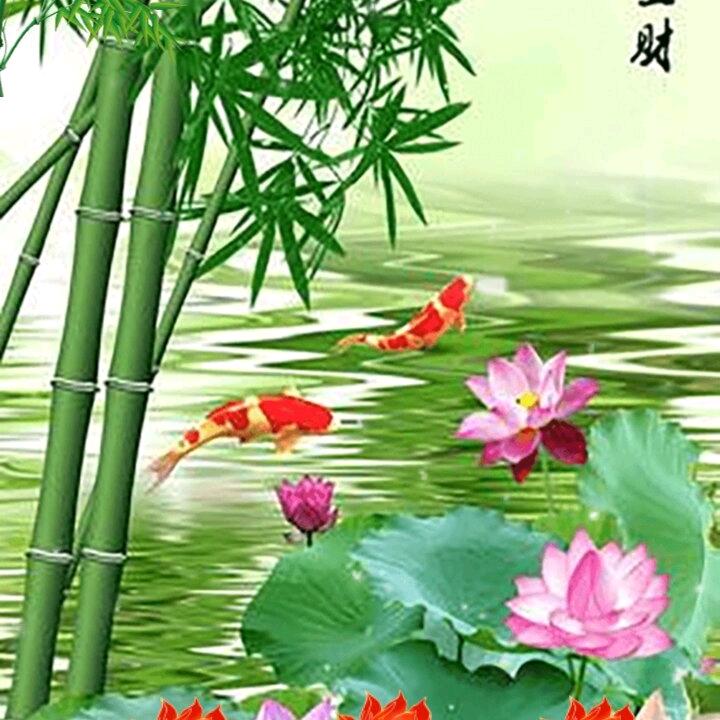 天下太平他苏哥。