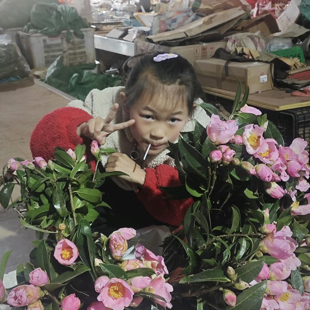 昆明，四川泸州