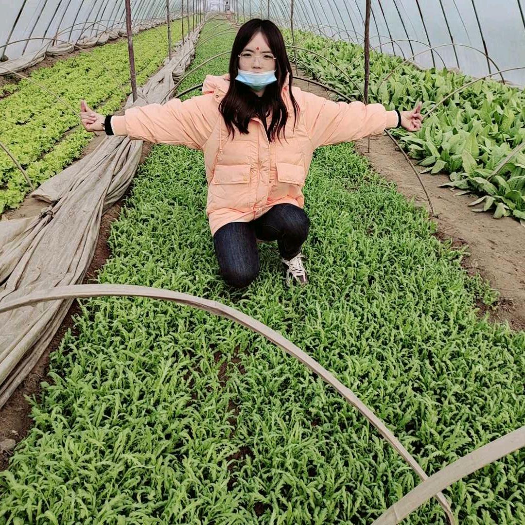 妞妞扶沟优质农产品