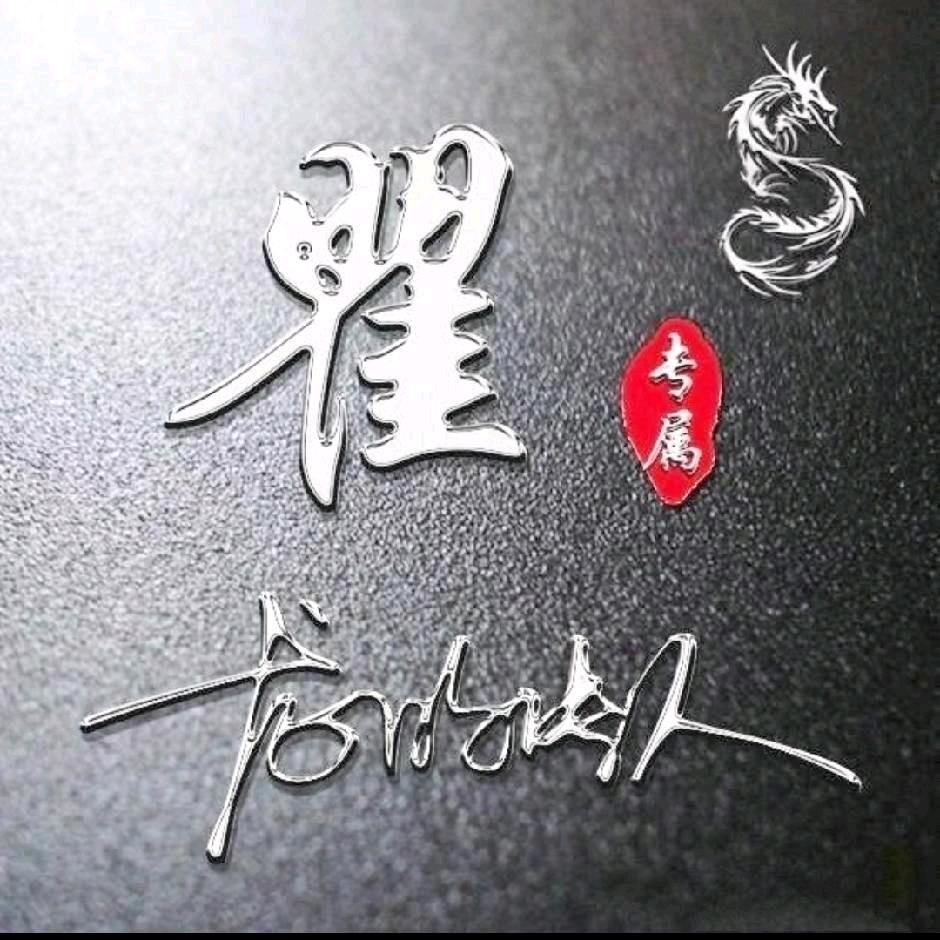 翟总