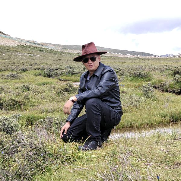 罗布🆚 1982，繁华三干。