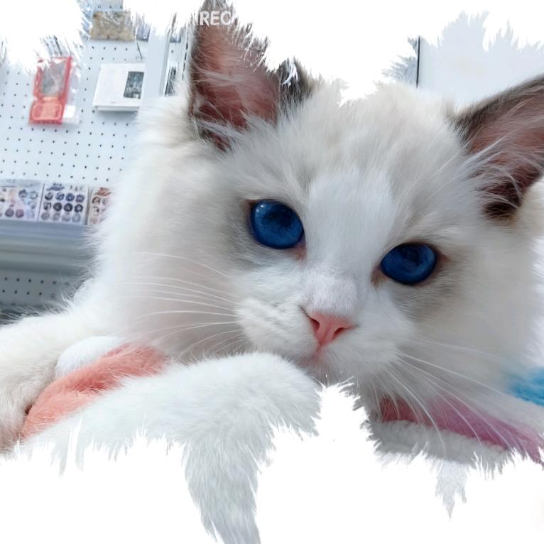 一川烟雨任平生