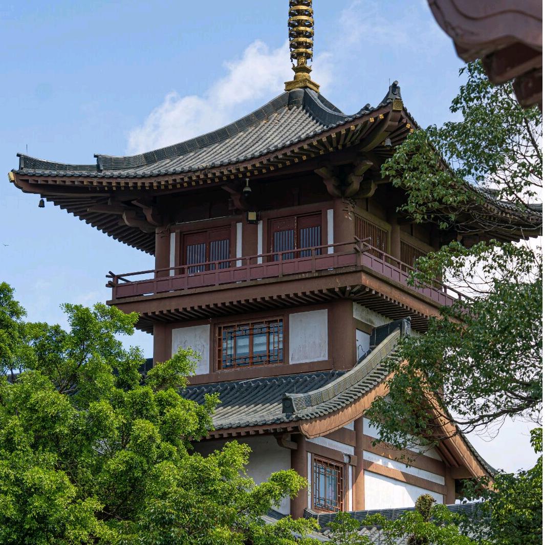 云鹤老师