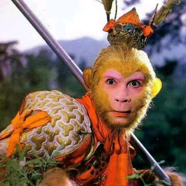 老夏