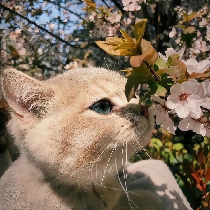 独自撑伞的日子
