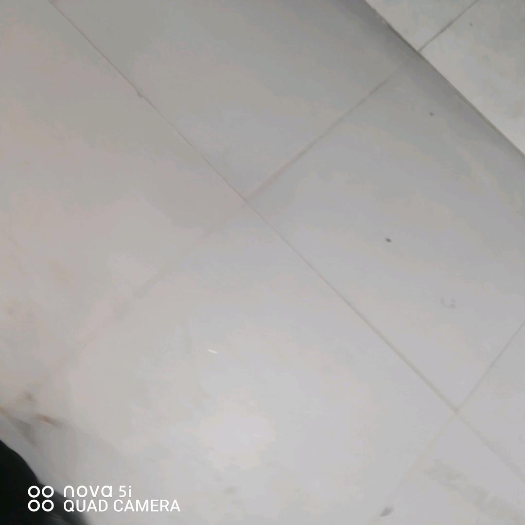 揉揉揉揉揉