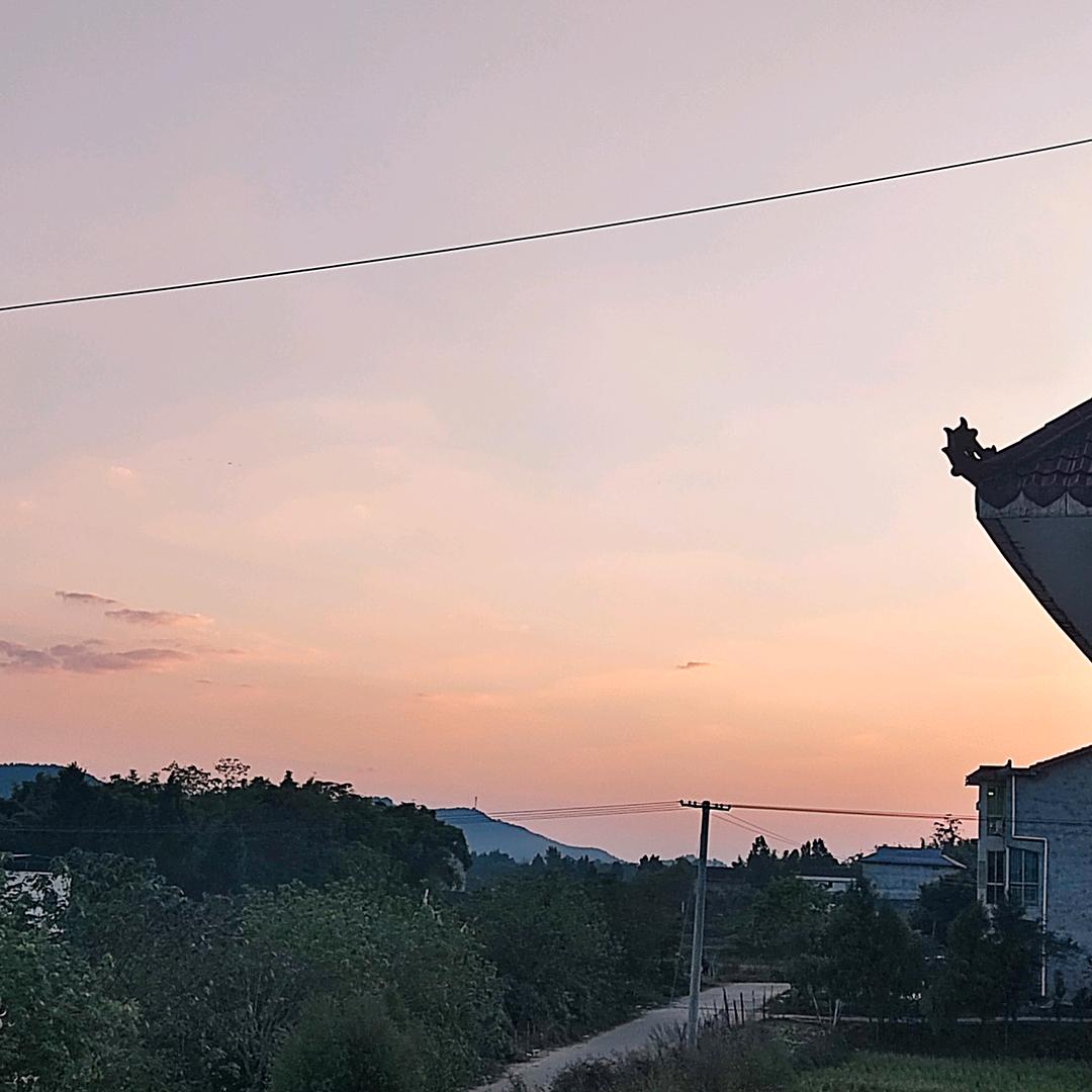小陶红