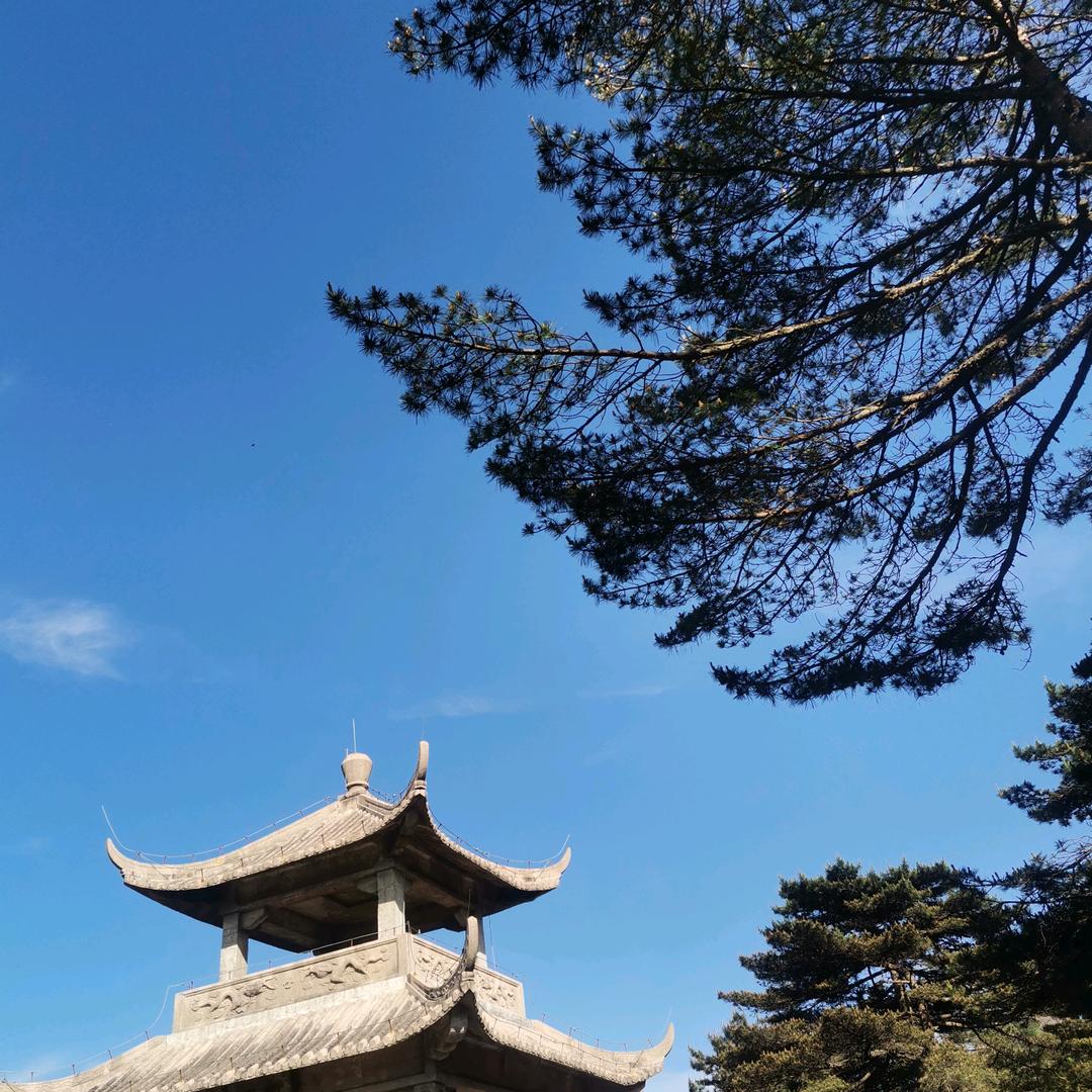 云淡风轻l