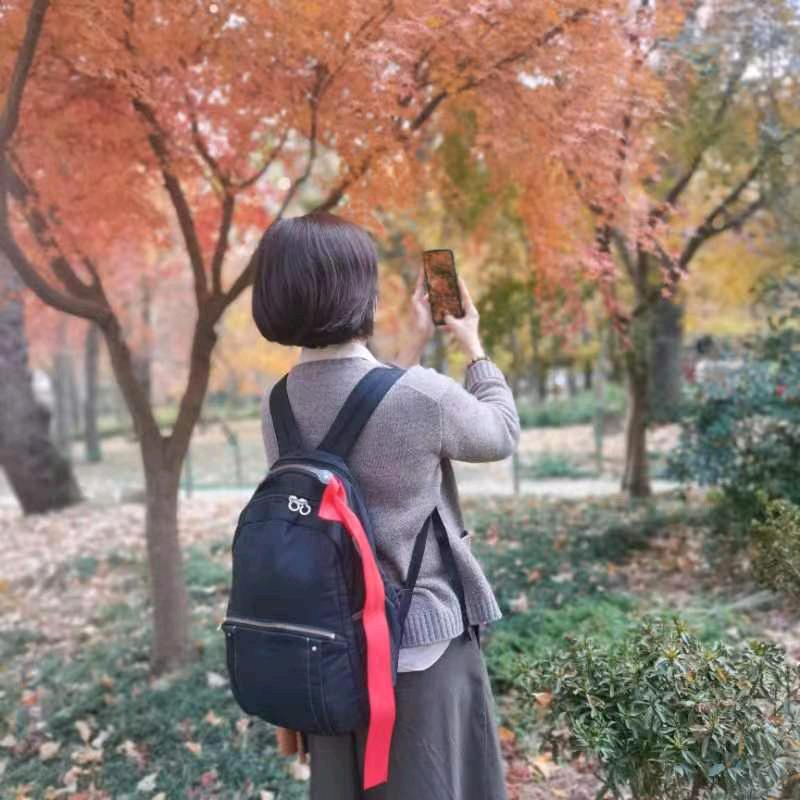 茶语～阳台多肉小筑