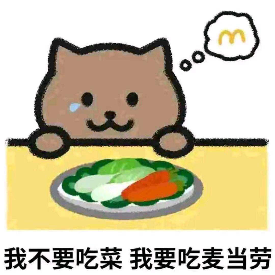 段柳艳