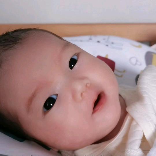 十七麻麻带娃记