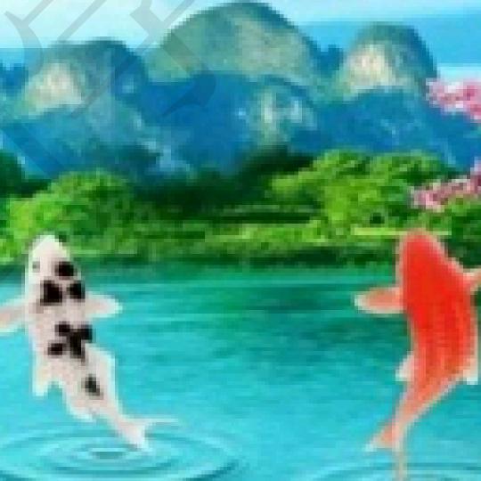 昕潼姐