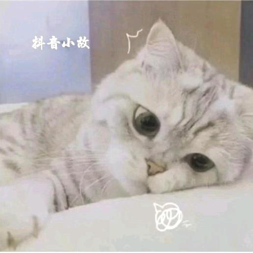 小故(2万2太乙)