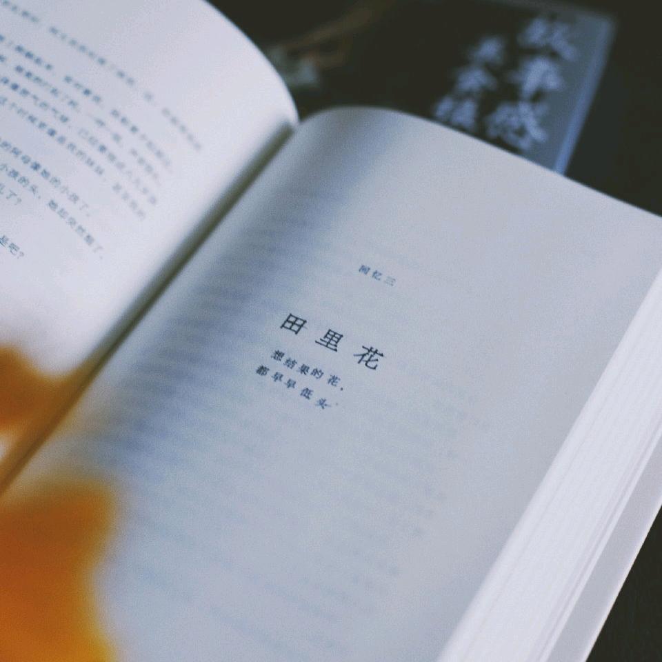 暖冬书阁