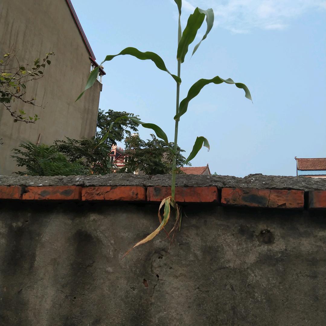 幸福靠自己