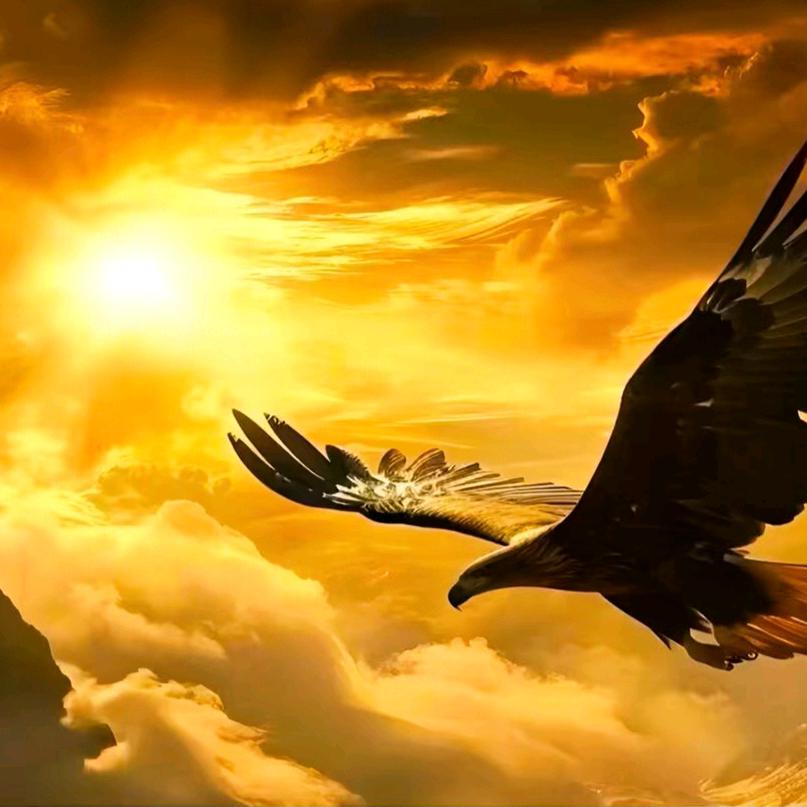 🎈运起🧧财来💲