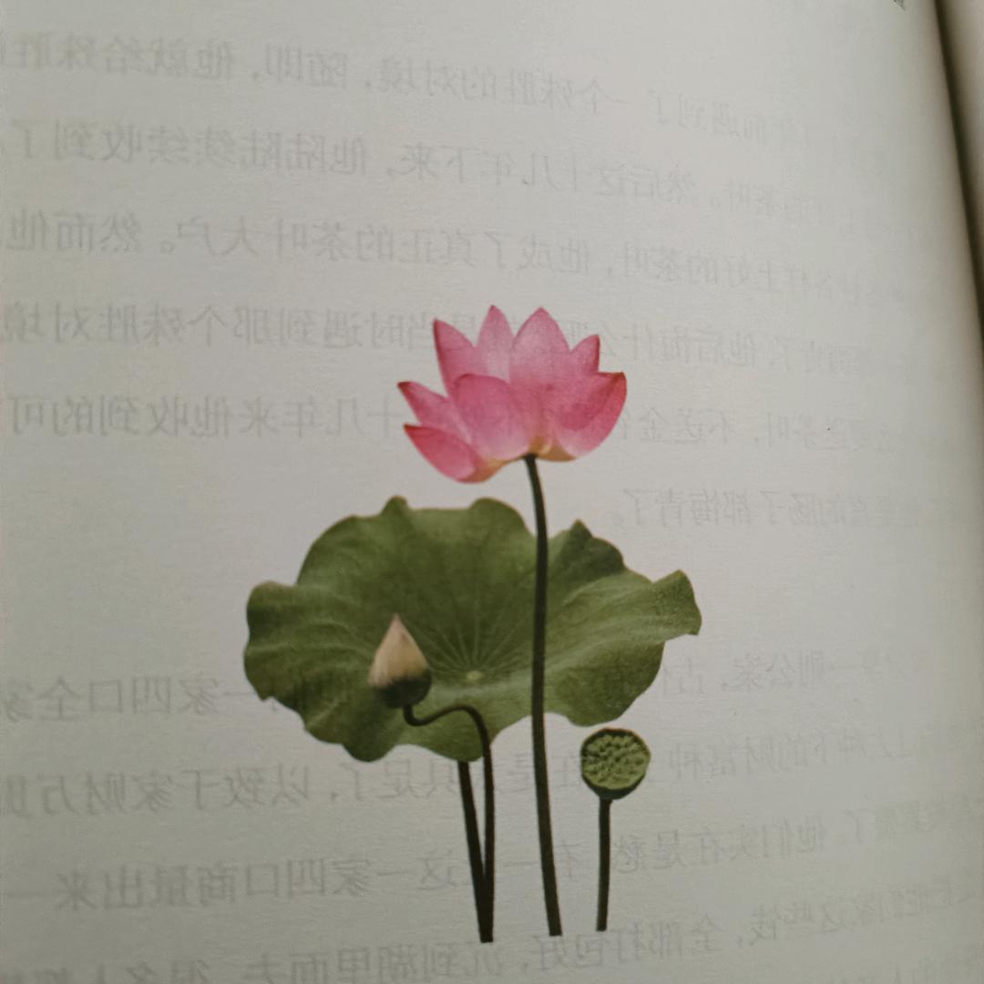 愿您有福