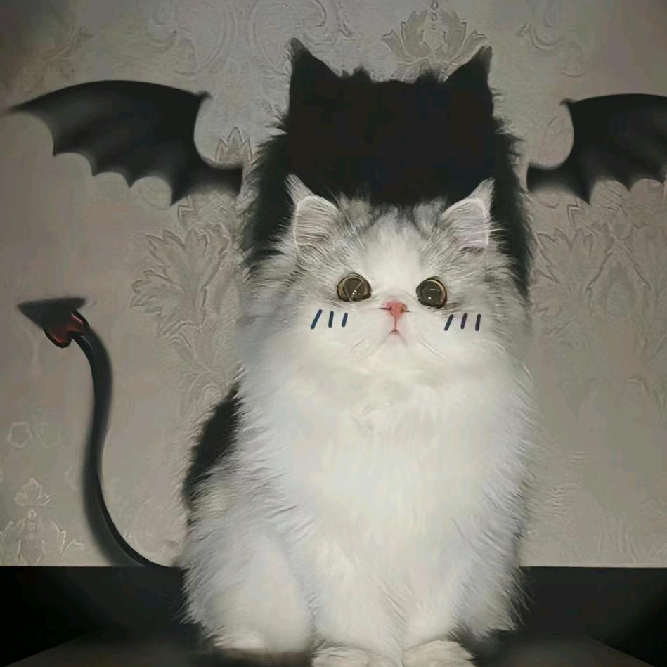 ℘࿐ᩚ悔没药℘࿐