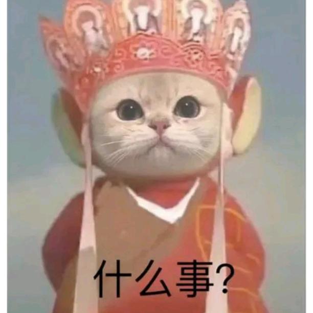荷塘蛤蟆