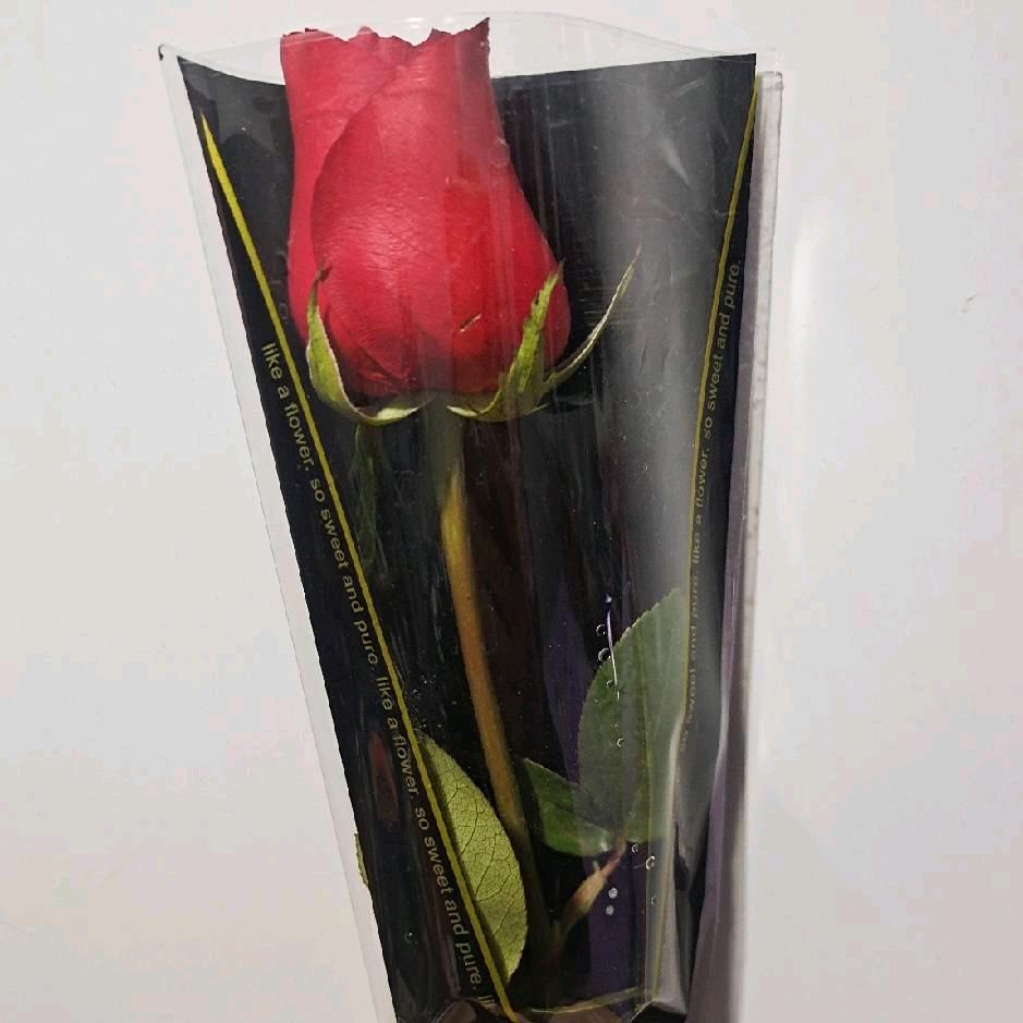 集装箱活动房出租