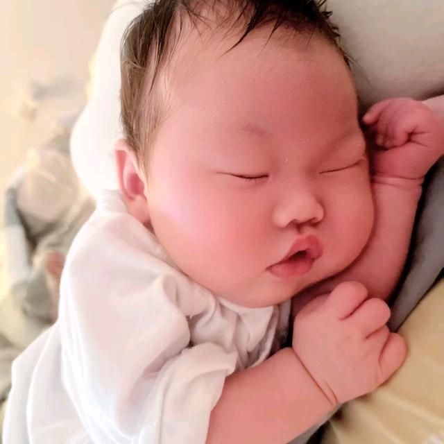 皓影宗小陈号