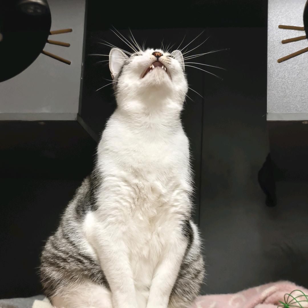 一一