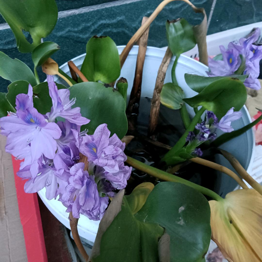 永远幸福🌺🌺🌹🌹🌻🌻