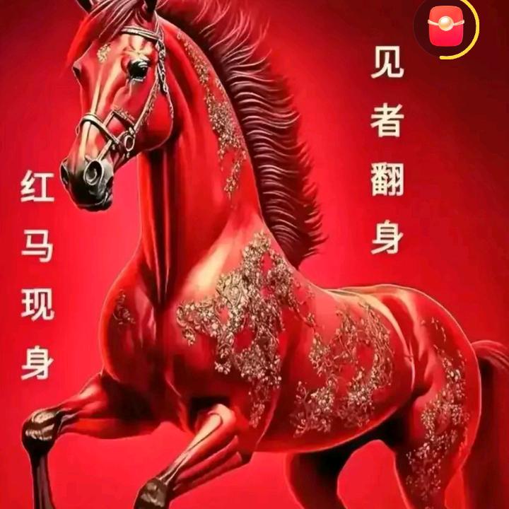 浪迹天涯