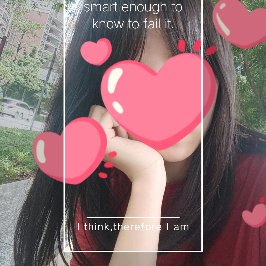 爱吃鱼的猫