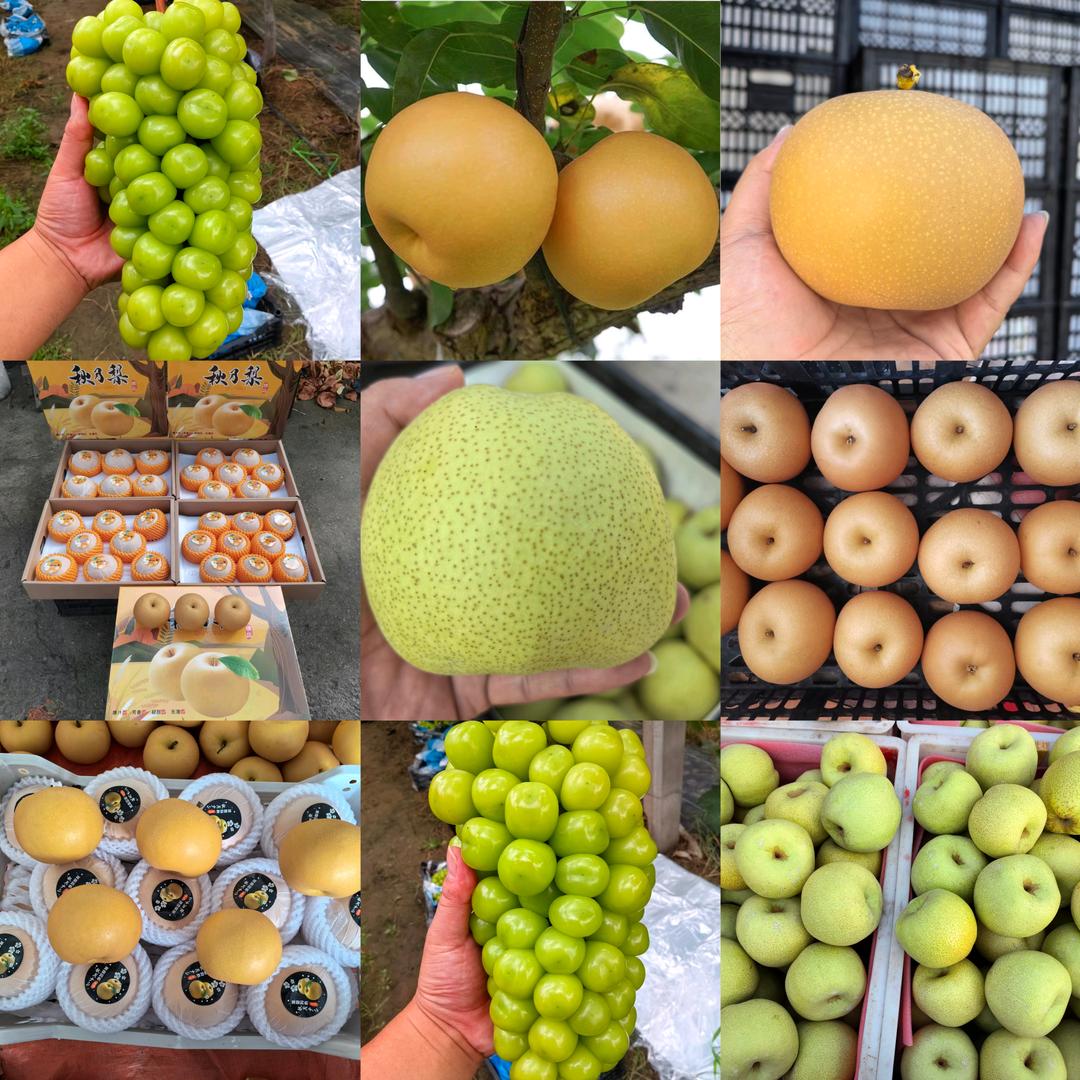 砀山县老于水果蔬菜基地