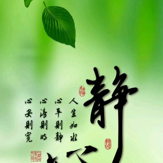 静心居士