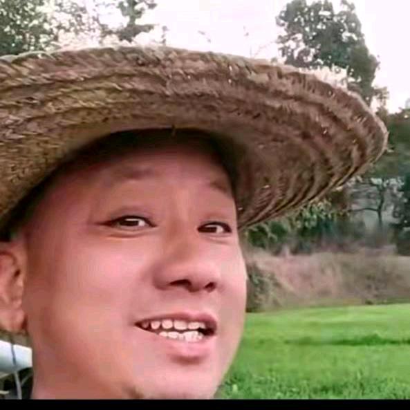 一根金