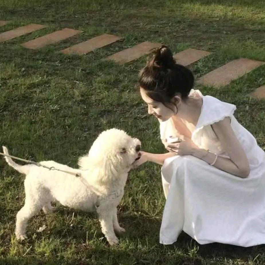 🎀燕子不会飞